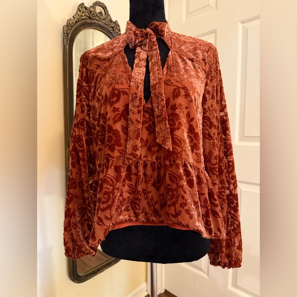 Anthropologie Rust Red Velvet Tie Front Blouse with Relaxed Sleeves - Picture 3 of 10